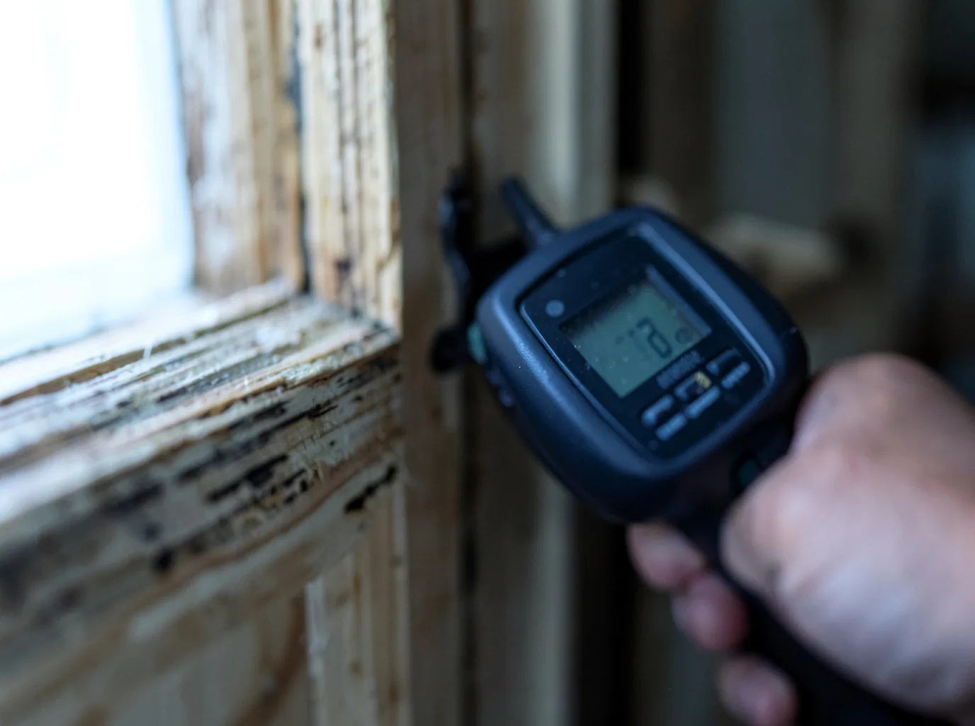 Moisture Inspection And Documentation in Houston, MO